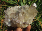 Polished Red Hematoid Quartz Clusters x 6 From Karoi, Zimbabwe - TopRock