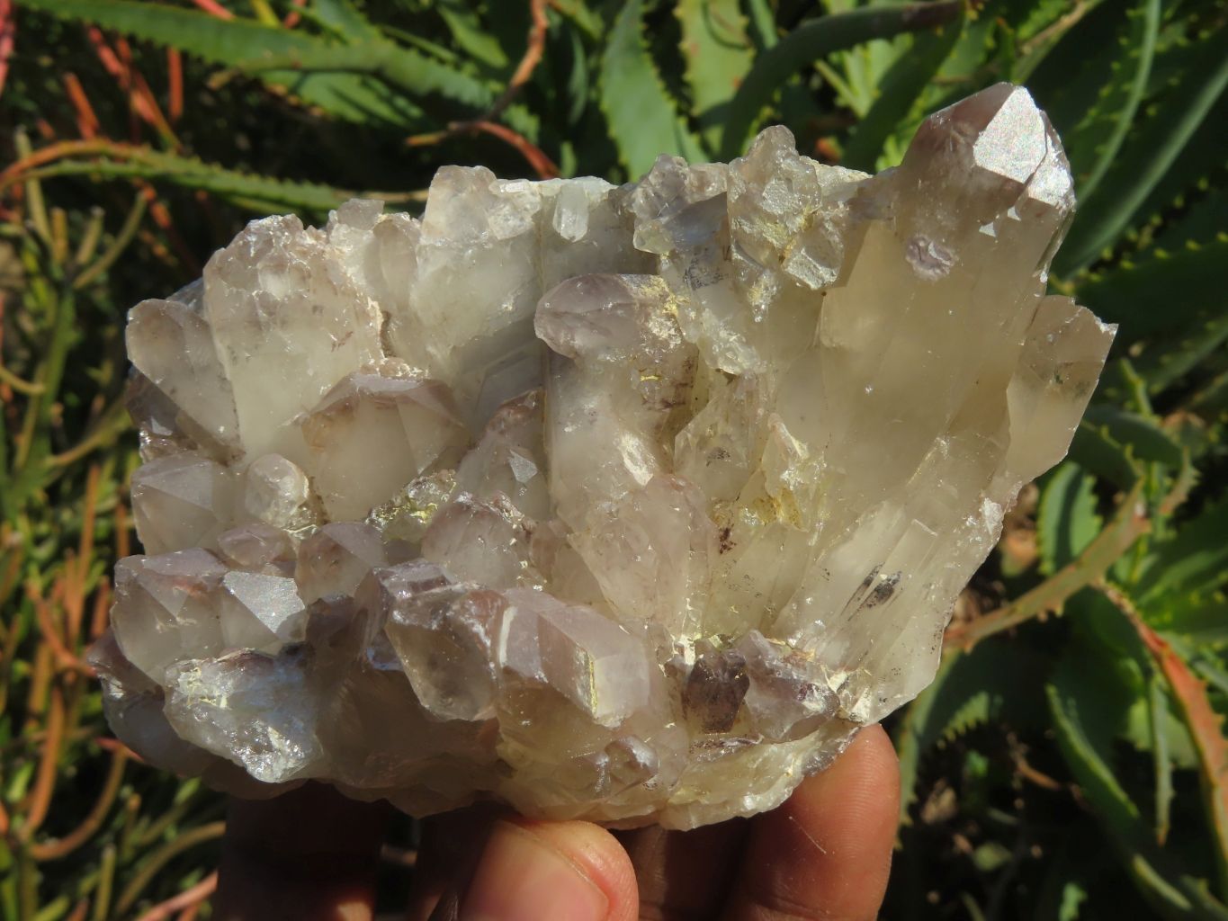 Polished Red Hematoid Quartz Clusters x 6 From Karoi, Zimbabwe - TopRock
