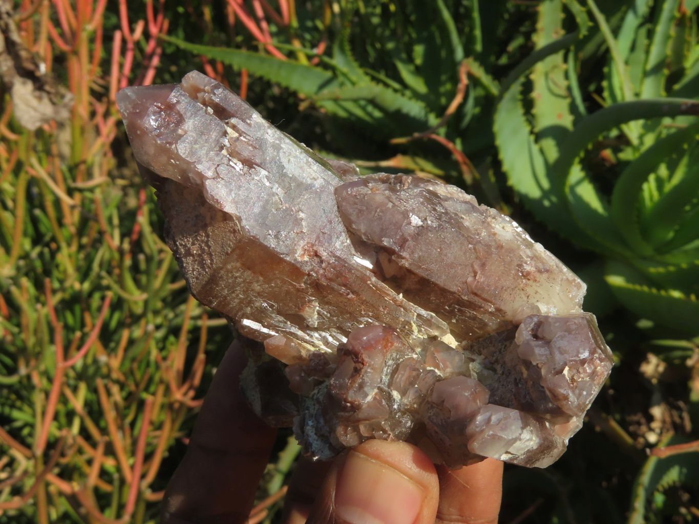 Natural Red Hematoid Quartz Clusters x 6 From Karoi, Zimbabwe – Toprock ...