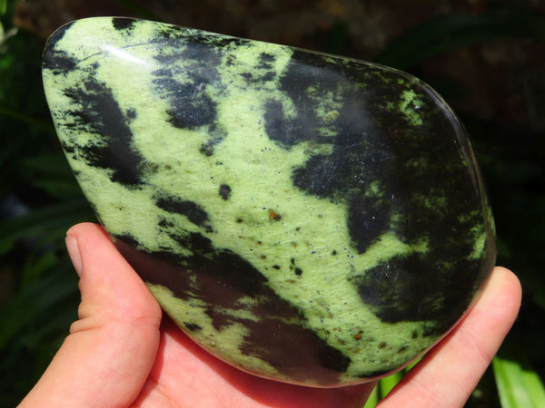 Polished Serpentine /Leopard Stone Large Free Forms x 4 From Zimbabwe - TopRock