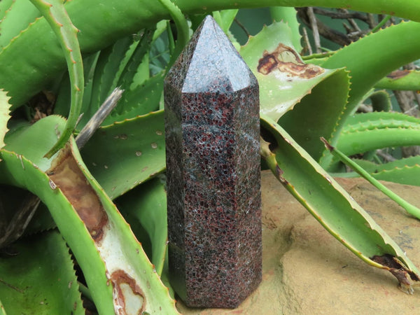 Polished  Garnet Crystals x 2 From Madagascar - TopRock