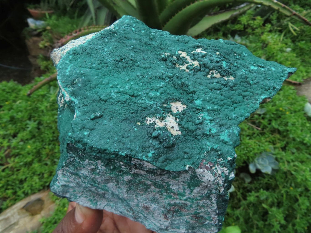Natural Malachite Specimens x 2 From Tenke, Congo - TopRock