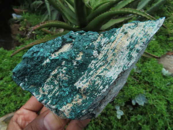Natural Malachite Specimens x 2 From Tenke, Congo - TopRock