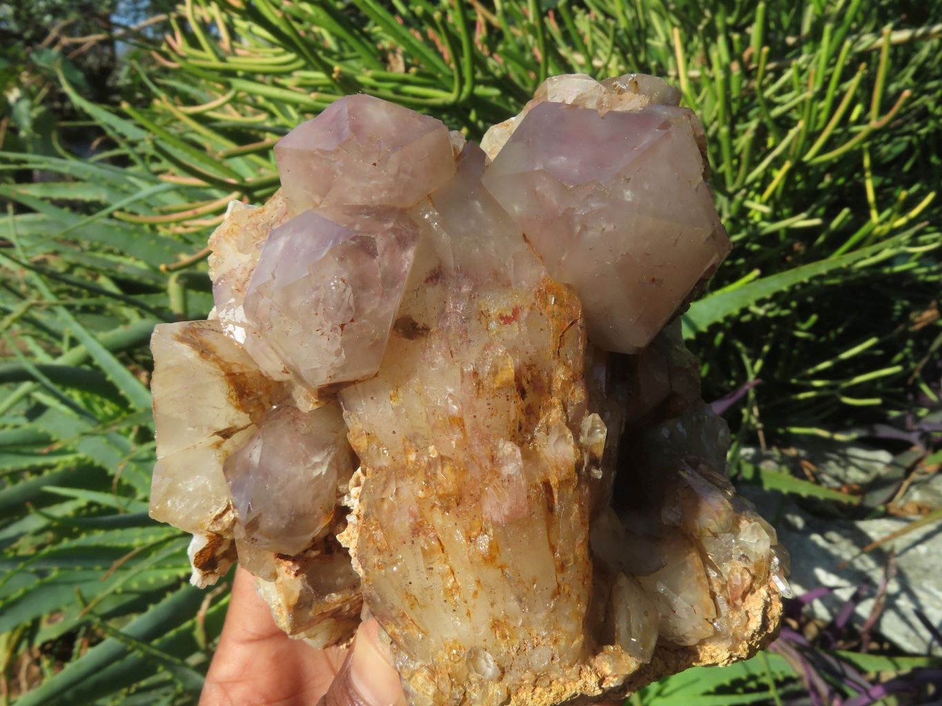 Natural Hematoid Quartz Crystal Cluster x 1 From Zimbabwe - TopRock
