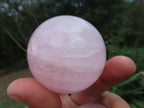 Polished Rose Quartz Spheres x 6 From Ambatondrazaka, Madagascar - TopRock