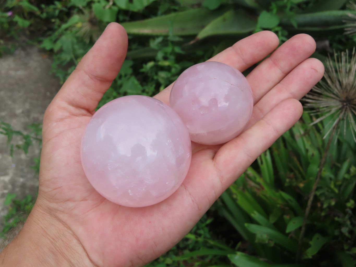 Polished Rose Quartz Spheres x 6 From Ambatondrazaka, Madagascar - TopRock