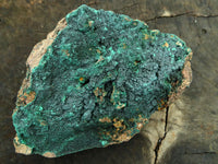 Natural Crystalline Malachite Specimens x 3 From Tenke Fungurume, Congo - TopRock