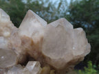 Natural Smokey White Phantom Cascading Quartz Cluster x 1 From Luena, Congo - TopRock