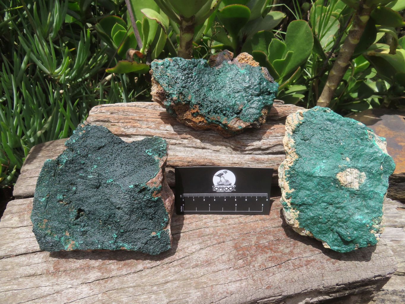 Natural Malachite Specimens x 3 From Tenke Fungurume, Congo - TopRock