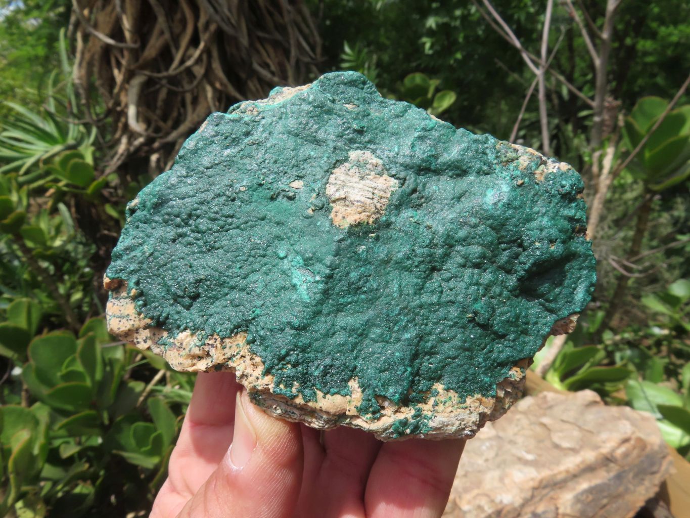 Natural Malachite Specimens x 3 From Tenke Fungurume, Congo - TopRock