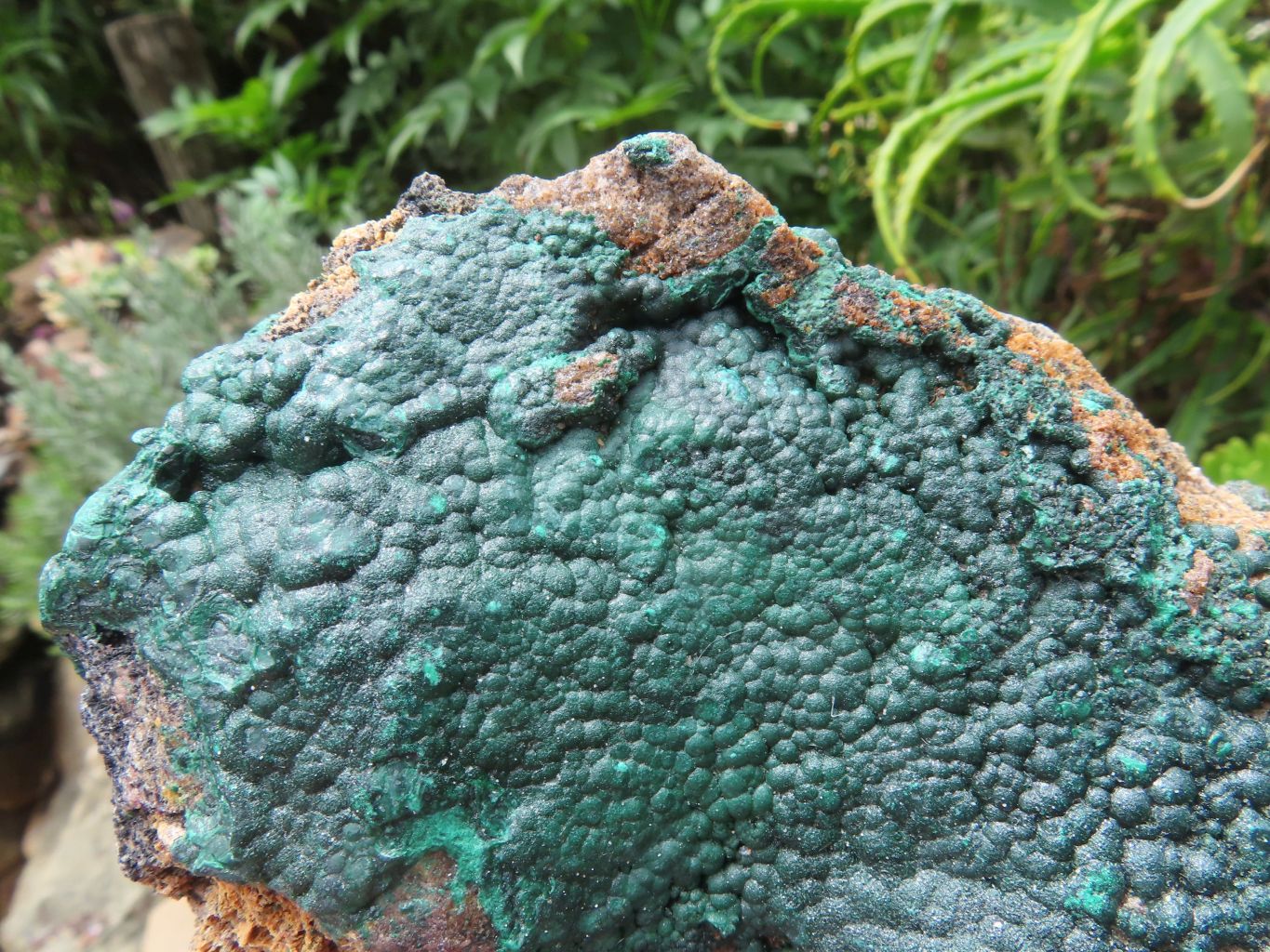 Natural Malachite Specimens x 3 From Tenke Fungurume, Congo - TopRock