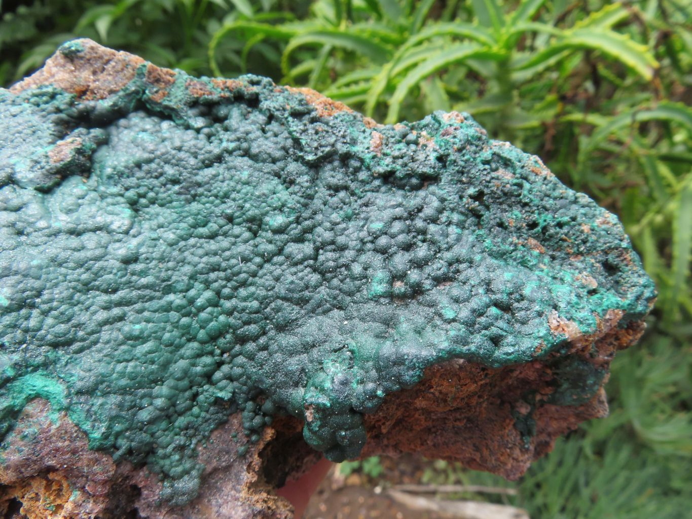 Natural Malachite Specimens x 3 From Tenke Fungurume, Congo - TopRock