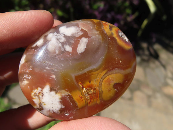 Polished Coral Flower Agate Palm Stones x 12 From Antsahalova, Madagascar - TopRock