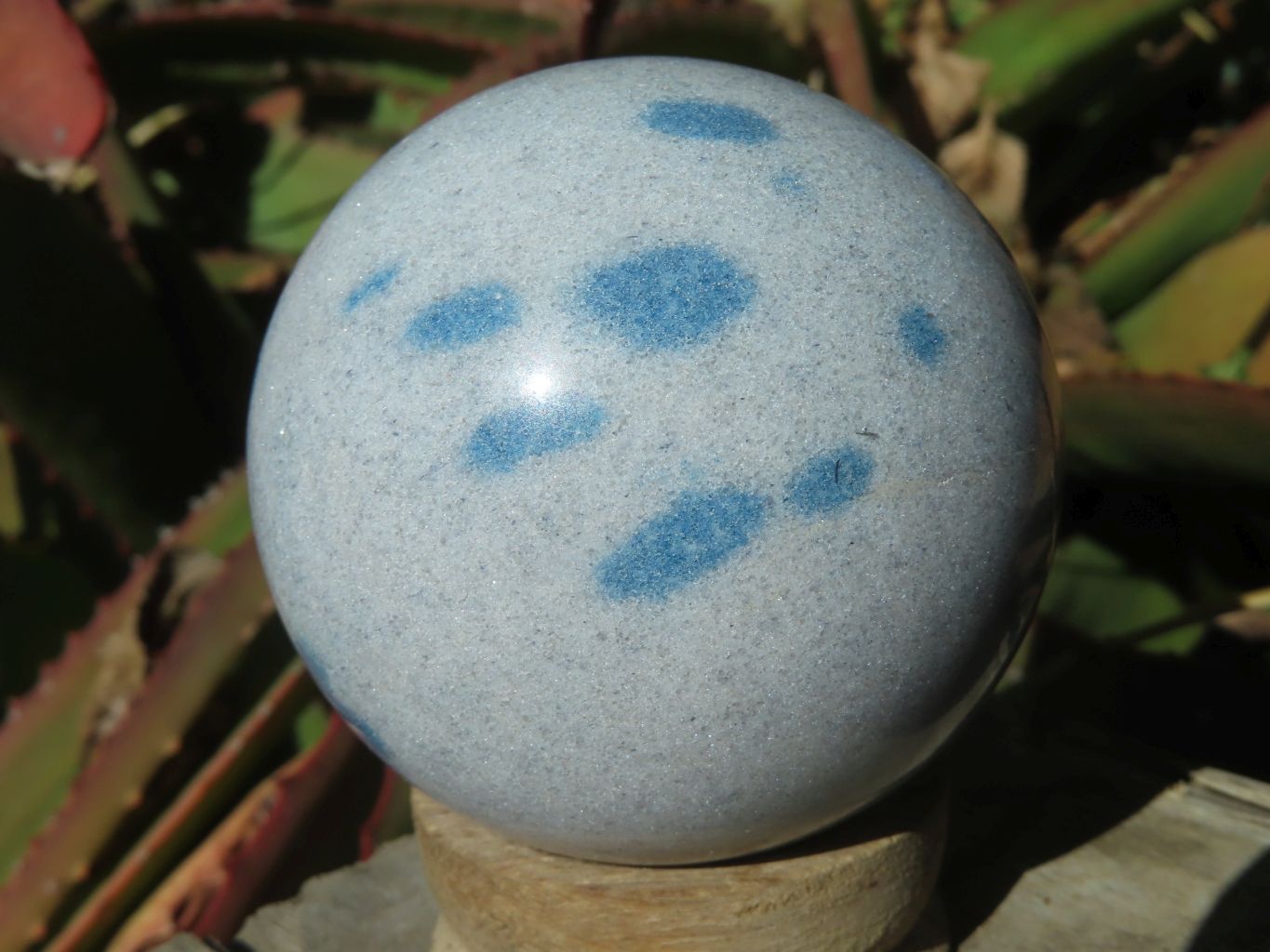 Polished Blue Spotted Spinel Spheres x 6 From Madagascar - TopRock