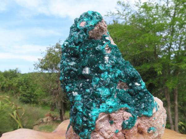 Natural XXL Classic Museum Class Specimen. Stands Nicely On Dolomite Base With 2 Sides Cover With Emerald Green Crystals x 1 From Tantara, Congo - TopRock