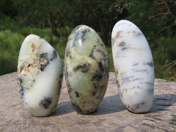 Polished Dendritic White Opal Standing Free Forms x 3 From Madagascar - TopRock