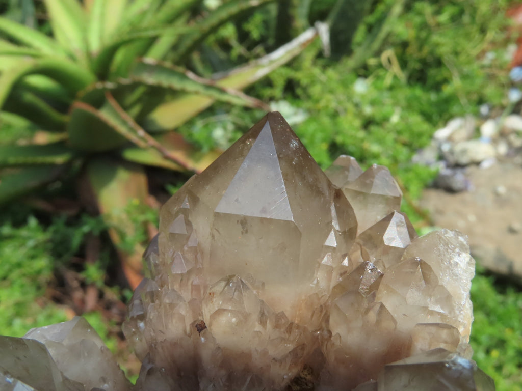 Natural Smokey Phantom Clusters x 2 From Lwena, Congo - TopRock