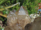Natural Smokey Phantom Clusters x 2 From Lwena, Congo - TopRock
