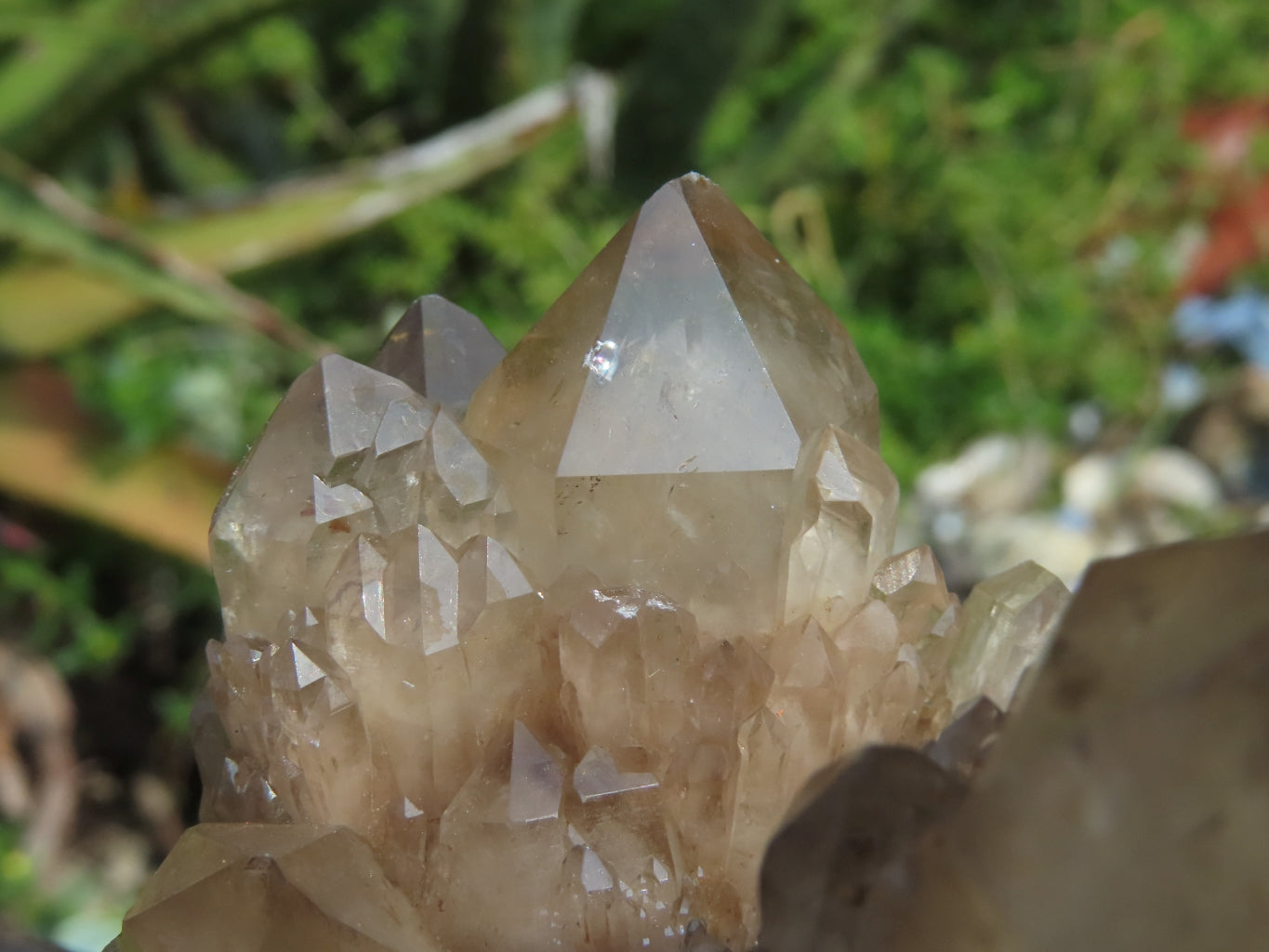 Natural Smokey Phantom Clusters x 2 From Lwena, Congo - TopRock