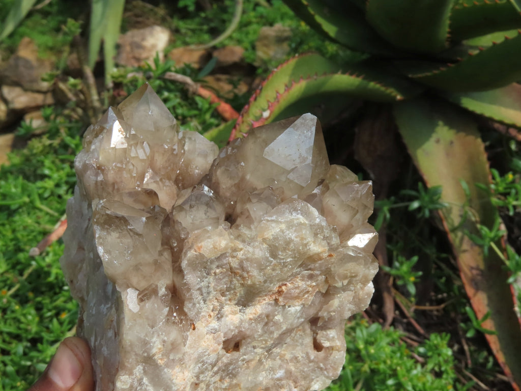Natural Smokey Phantom Clusters x 2 From Lwena, Congo - TopRock