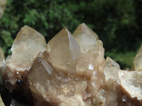 Natural Smokey Phantom Quartz Clusters x 2 From Lwena, Congo - TopRock