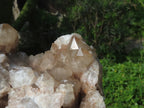 Natural Smokey Phantom Clusters x 2 From Lwena, Congo - TopRock