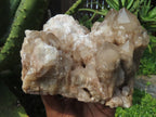 Natural Smokey Phantom Clusters x 2 From Lwena, Congo - TopRock