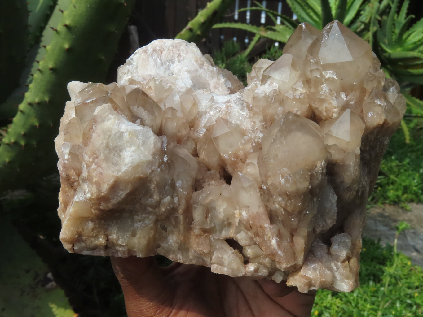 Natural Smokey Phantom Clusters x 2 From Lwena, Congo - TopRock