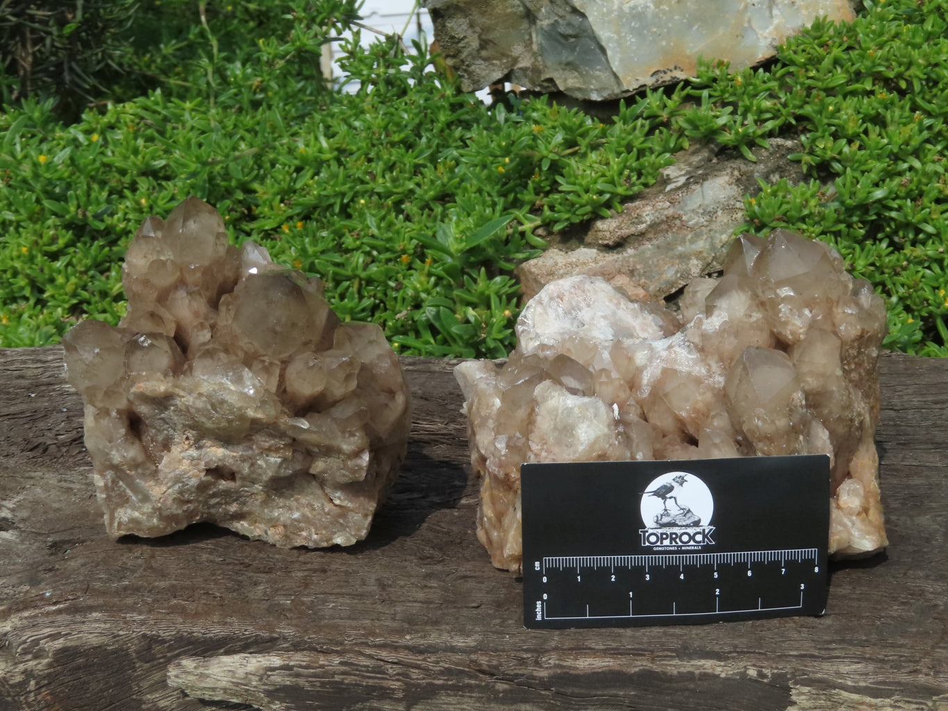 Natural Smokey Phantom Clusters x 2 From Lwena, Congo - TopRock