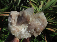 Natural Smokey Phantom Quartz Clusters & Crystals  x 7 From Lwena, Congo - TopRock