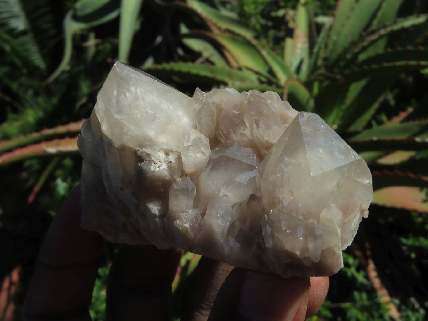 Natural Smokey Phantom Quartz Clusters & Crystals  x 7 From Lwena, Congo - TopRock