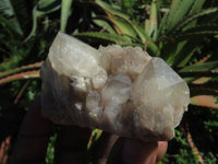 Natural Smokey Phantom Quartz Clusters & Crystals  x 7 From Lwena, Congo - TopRock
