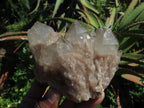 Natural Smokey Phantom Quartz Clusters & Crystals  x 7 From Lwena, Congo - TopRock