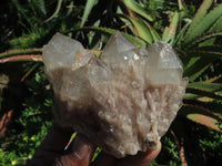 Natural Smokey Phantom Quartz Clusters & Crystals  x 7 From Lwena, Congo - TopRock