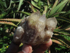 Natural Smokey Phantom Quartz Clusters & Crystals  x 7 From Lwena, Congo - TopRock