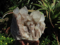 Natural Smokey Phantom Quartz Clusters & Crystals  x 7 From Lwena, Congo - TopRock