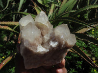 Natural Smokey Phantom Quartz Clusters & Crystals  x 7 From Lwena, Congo - TopRock
