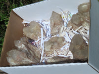 Natural Smokey Phantom Quartz Clusters & Crystals  x 7 From Lwena, Congo - TopRock
