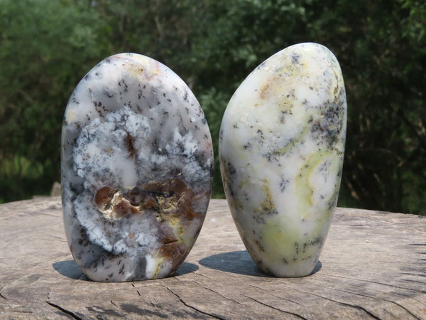 Polished Dendritic White & Yellow Opal Standing Free Forms x 2 From Madagascar - TopRock