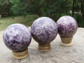 Polished Lepidolite Spheres x 3 From Madagascar - TopRock