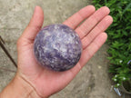 Polished Lepidolite Spheres x 3 From Madagascar - TopRock