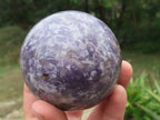 Polished Lepidolite Spheres x 3 From Madagascar - TopRock