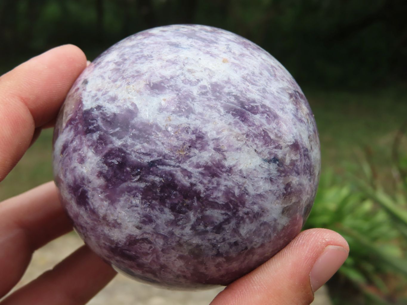 Polished Lepidolite Spheres x 3 From Madagascar - TopRock