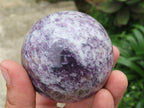 Polished Lepidolite Spheres x 3 From Madagascar - TopRock