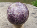 Polished Lepidolite Spheres x 3 From Madagascar - TopRock