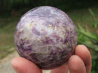 Polished Lepidolite Spheres x 3 From Madagascar - TopRock