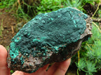 Natural Malachite Specimens x 3 From Tenke Fungurume, Congo - TopRock