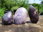 Polished Gem Lithium Mica Lepidolite Display Free Forms x 3 From Zimbabwe - TopRock