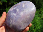 Polished Gem Lithium Mica Lepidolite Display Free Forms x 3 From Zimbabwe - TopRock