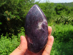 Polished Gem Lithium Mica Lepidolite Display Free Forms x 3 From Zimbabwe - TopRock